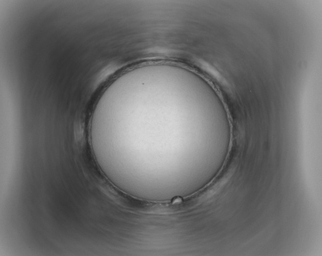 X0000111601259200907301439
