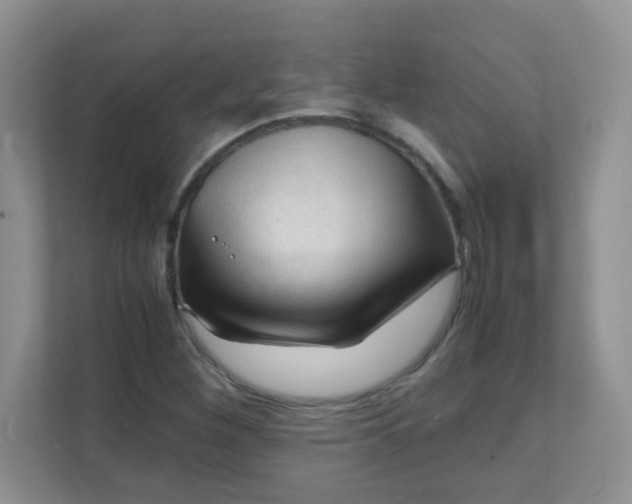 X0000111601260200907301439