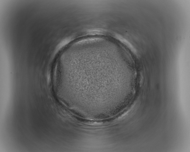 X0000111601261200907301439