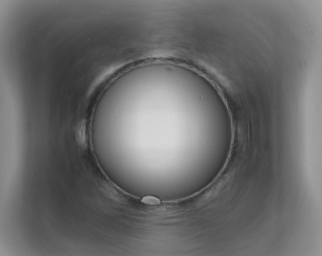 X0000111601262200907301439