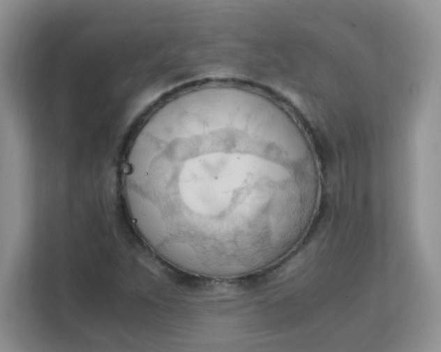 X0000111601263200907301439