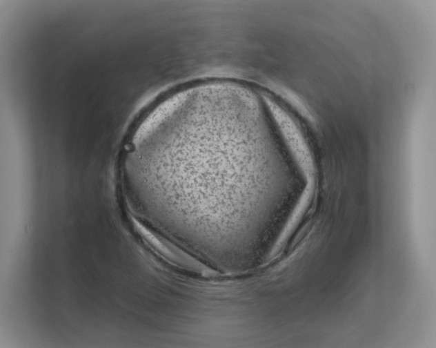 X0000111601264200907301439