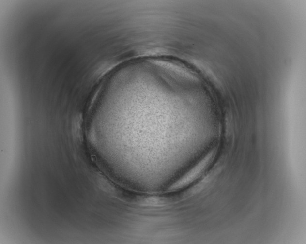 X0000111601265200907301439