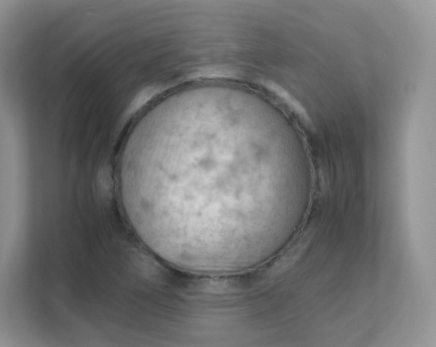 X0000111601266200907301439