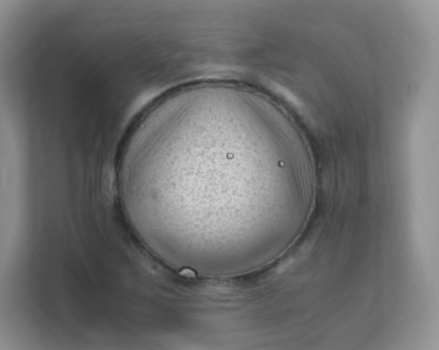 X0000111601267200907301439