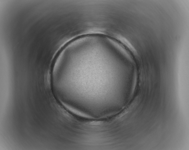 X0000111601268200907301439
