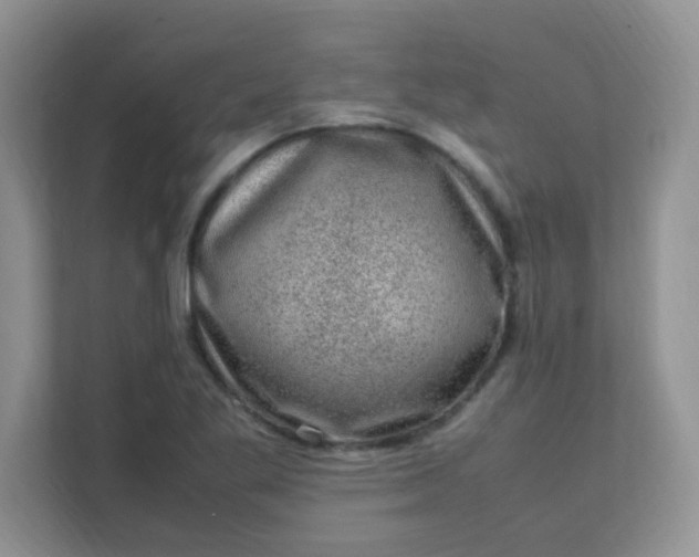 X0000111601269200907301439