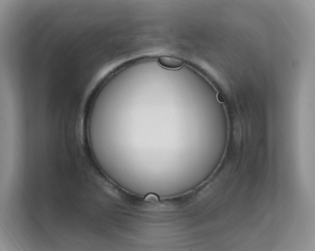 X0000111601270200907301439