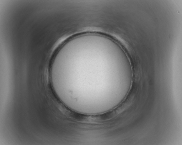 X0000111601271200907301439