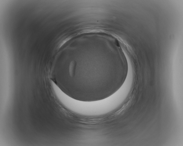 X0000111601273200907301439