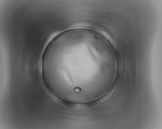 X0000111601275200907301439