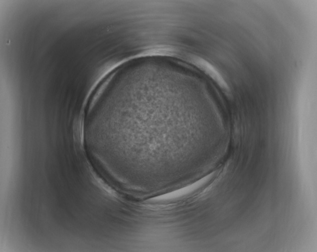 X0000111601276200907301439