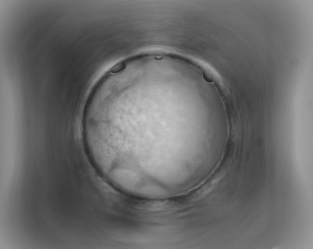 X0000111601279200907301439