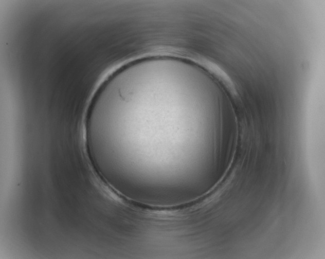 X0000111601280200907301439