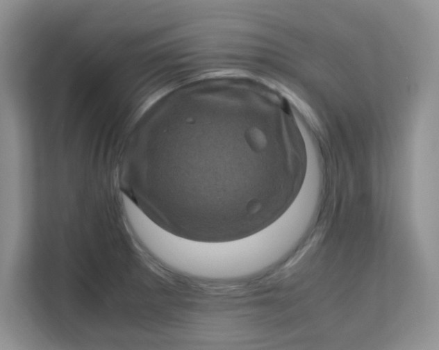 X0000111601281200907301439