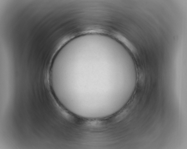 X0000111601282200907301439