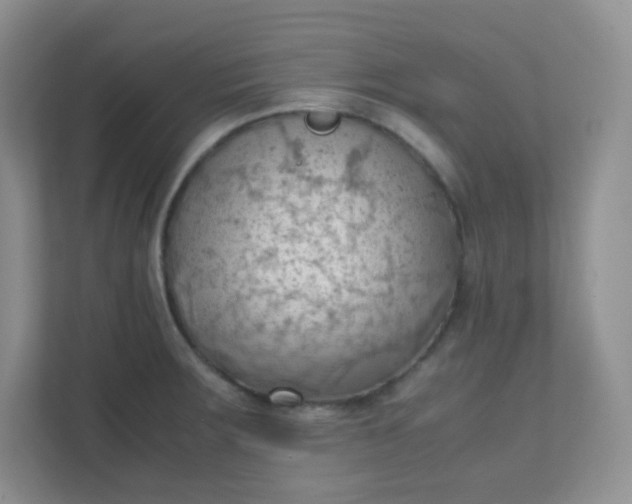 X0000111601283200907301439