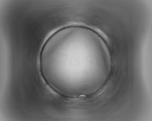 X0000111601287200907301439