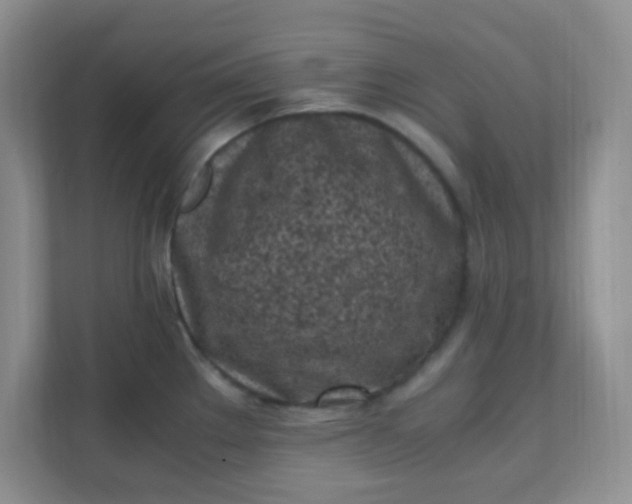 X0000111601289200907301439