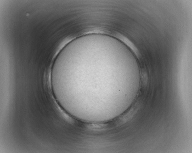X0000111601290200907301439