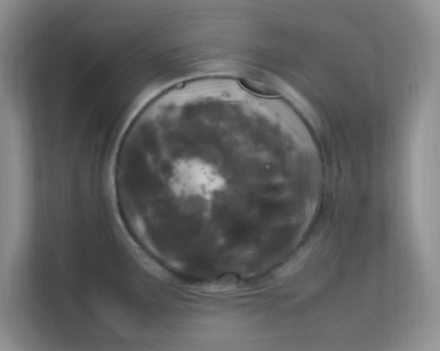X0000111601291200907301439