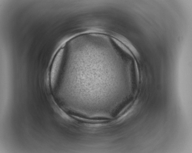 X0000111601292200907301439