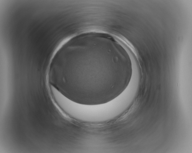 X0000111601293200907301439