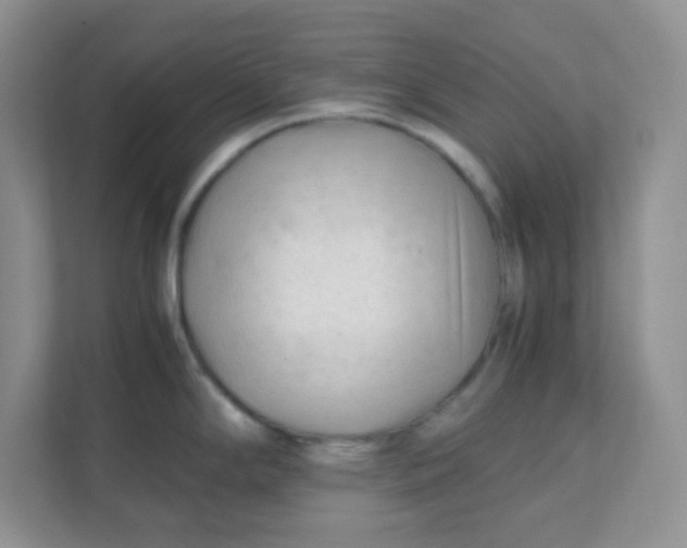X0000111601294200907301439