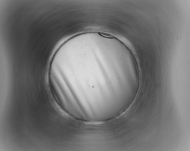 X0000111601296200907301439