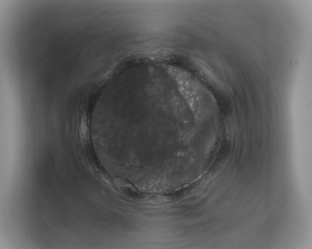 X0000111601298200907301438