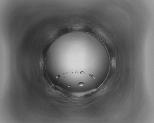 X0000111601299200907301438