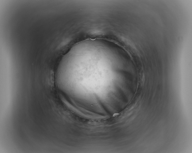 X0000111601301200907301438