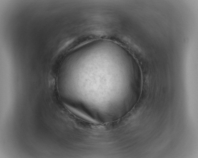 X0000111601302200907301438