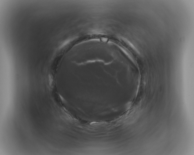 X0000111601303200907301438