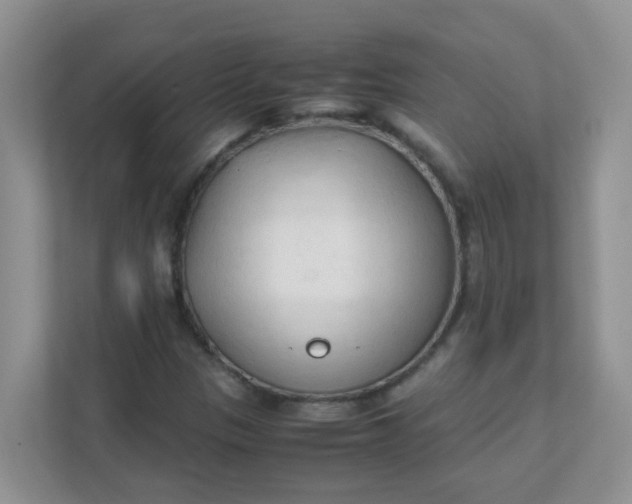 X0000111601305200907301438