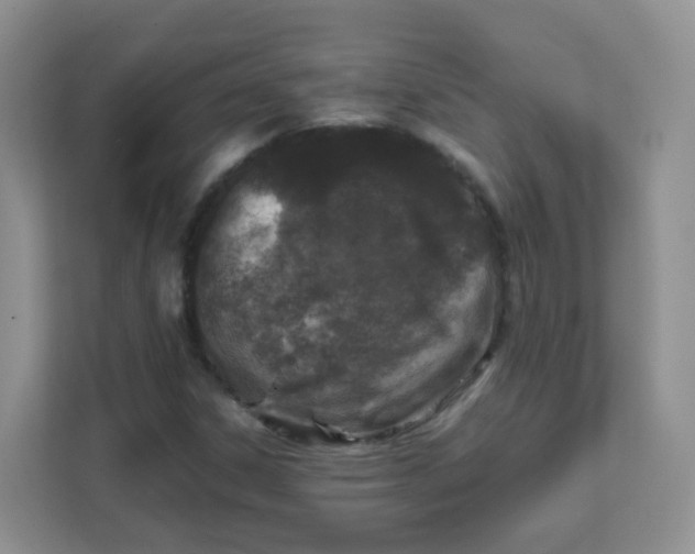X0000111601306200907301438