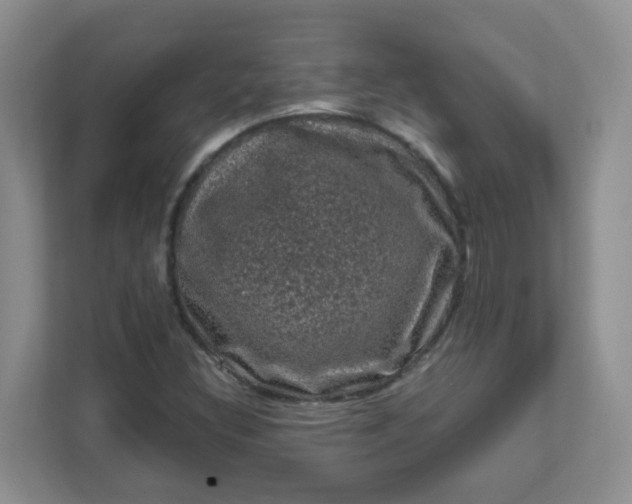 X0000111601308200907301438