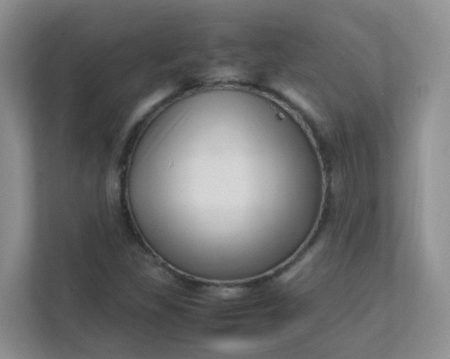 X0000111601309200907301438