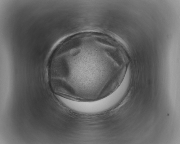 X0000111601310200907301438