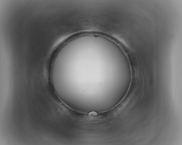 X0000111601311200907301438