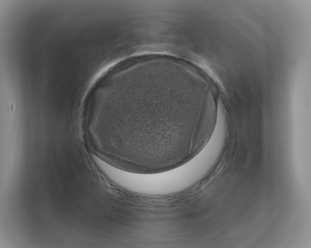 X0000111601312200907301438