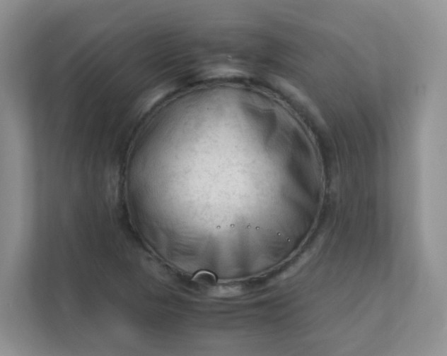 X0000111601313200907301438
