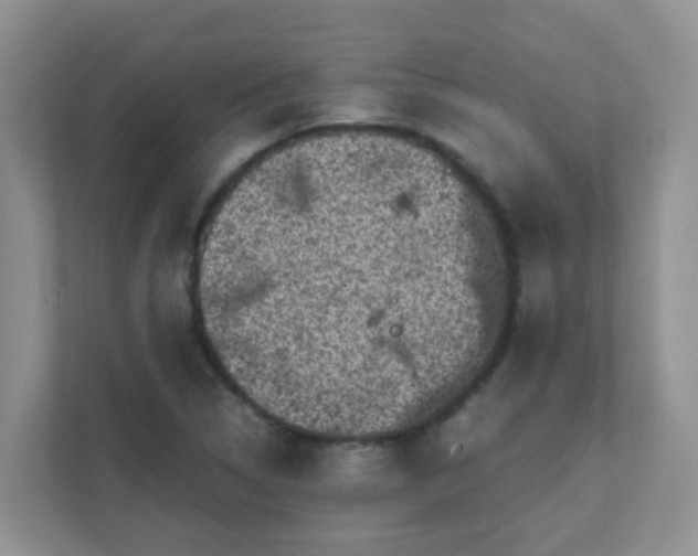 X0000111601314200907301438