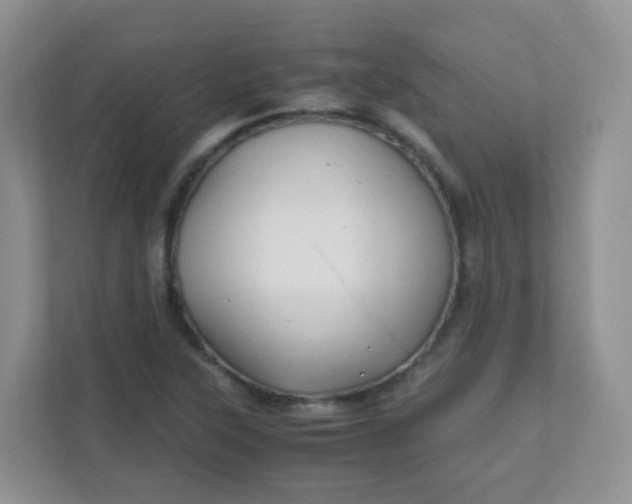 X0000111601315200907301438