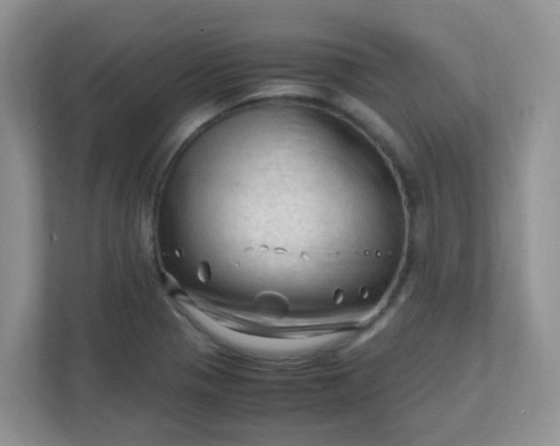 X0000111601321200907301438