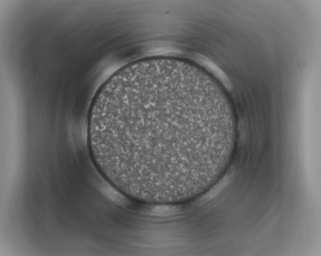 X0000111601322200907301438