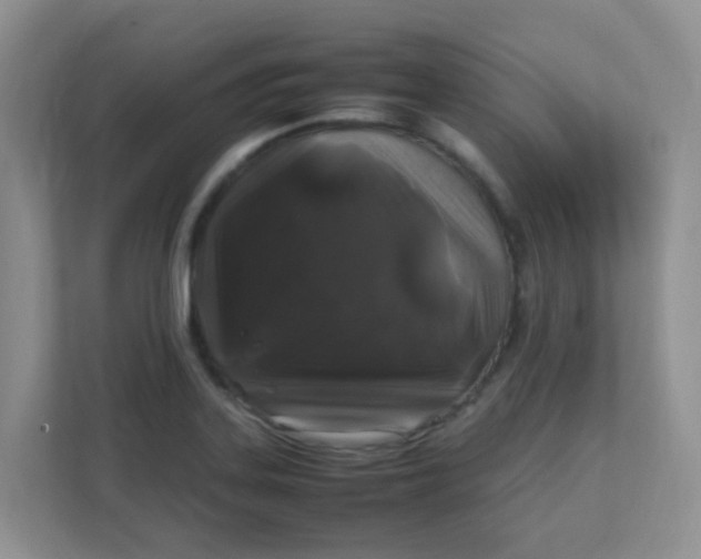 X0000111601323200907301439