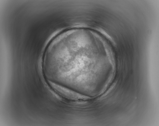 X0000111601325200907301439