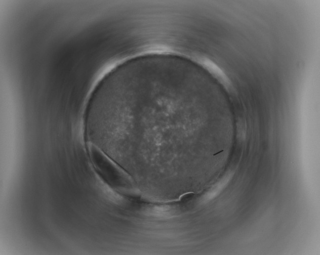 X0000111601326200907301439