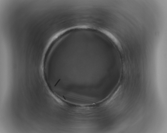 X0000111601327200907301439